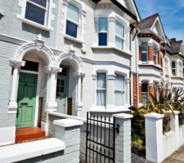 Common Household Pests in London