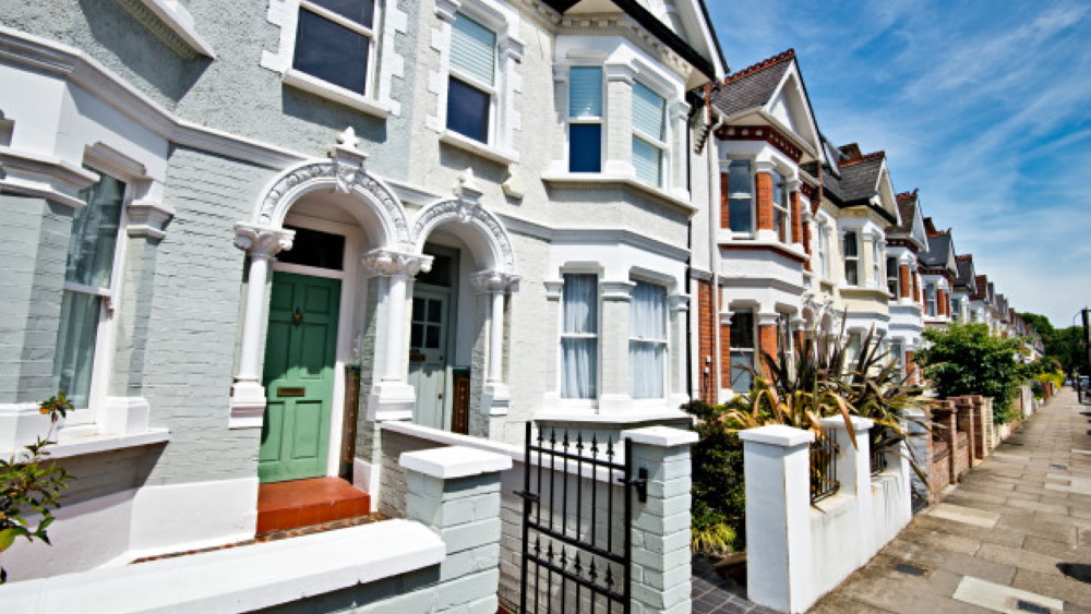Common Household Pests in London