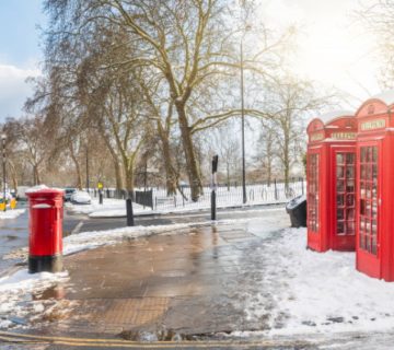 top 5 winter pest control tips