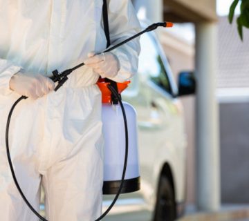 4 Ways to Get Rid of Rats