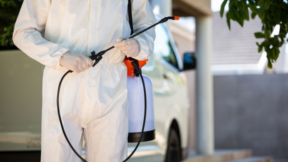 4 Ways to Get Rid of Rats