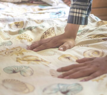 How to get rid of bed bugs