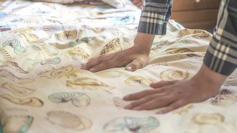 How to get rid of bed bugs