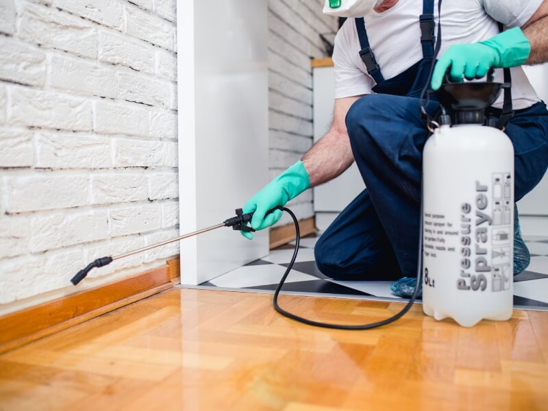 pest control Newbury Park pest control Newbury Park