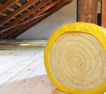 How to get rid of mice in your loft or attic