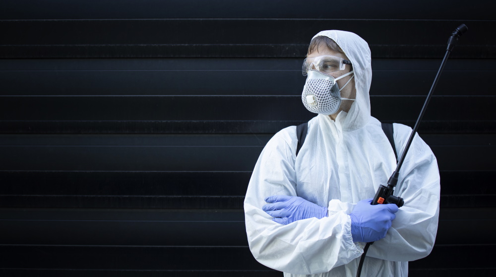 Why Pest Proofing is Important