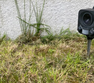 Do ultrasonic pest repellers work