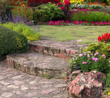 Do rats dig holes in gardens
