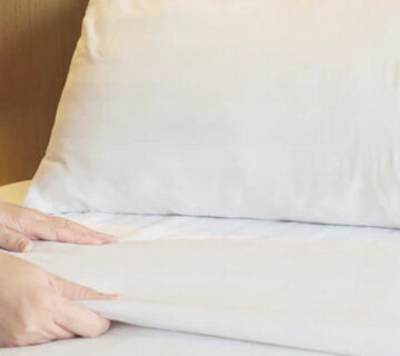 What Is The Main Cause For Bed Bugs