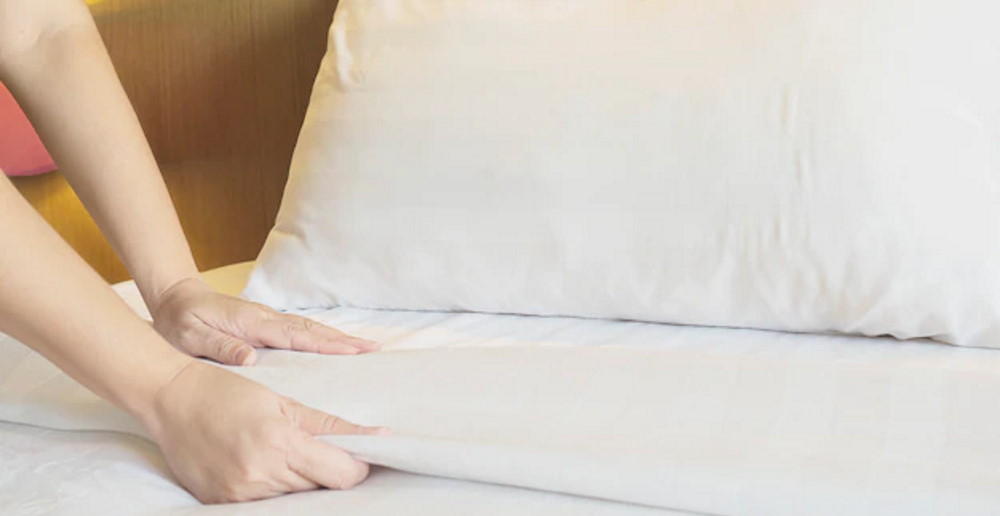 What Is The Main Cause For Bed Bugs