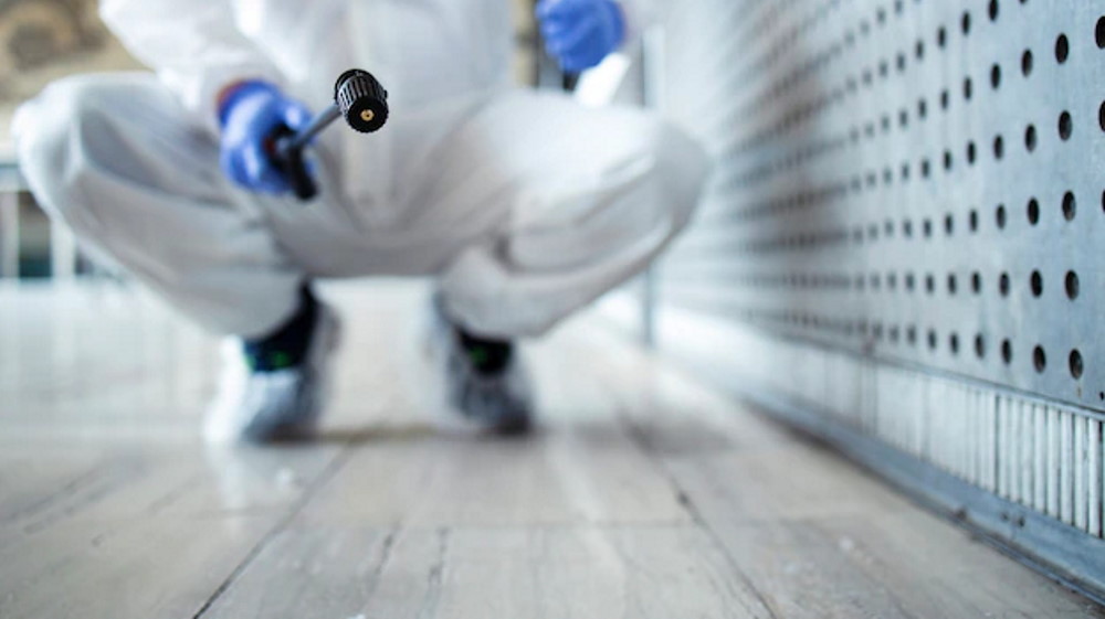 Is Pest Control Worth It For Mice
