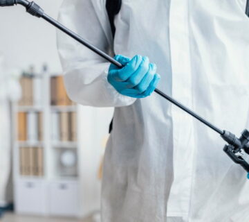 Do Pest Control Deal With Bed Bugs