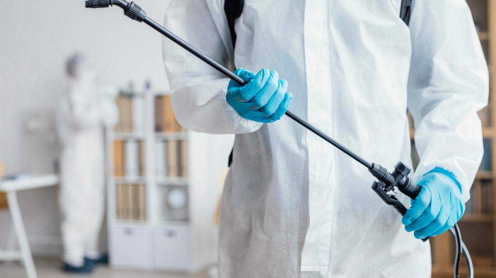 Do Pest Control Deal With Bed Bugs