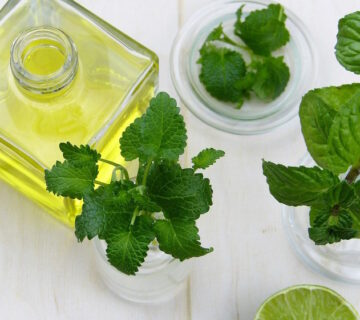 Does Peppermint Oil Repel Mice