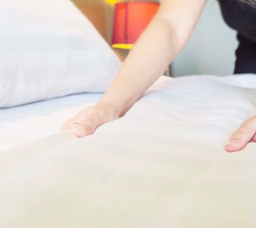 How to identify bed bugs
