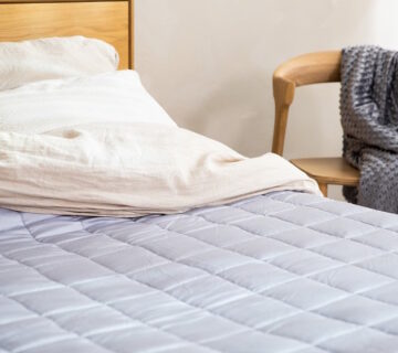 Where do bed bugs hide