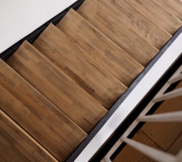 Can mice climb stairs