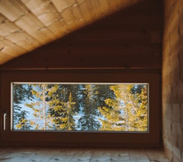 Do squirrels cause damage in loft