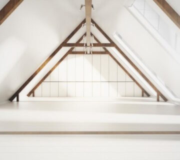 Squirrel in attic - what to do