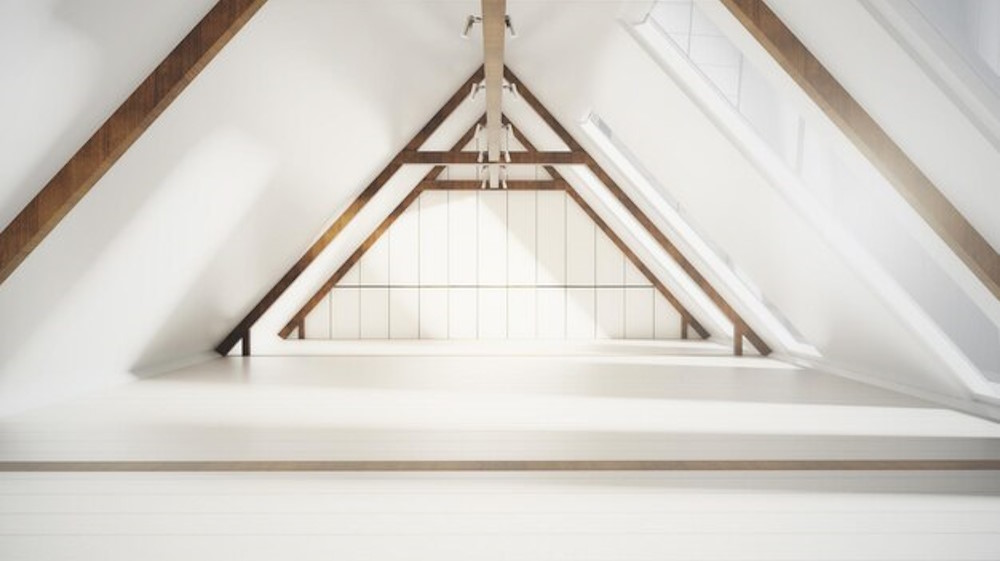Squirrel in attic - what to do