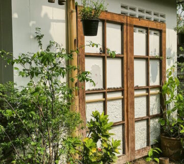 How to prevent pests from coming back