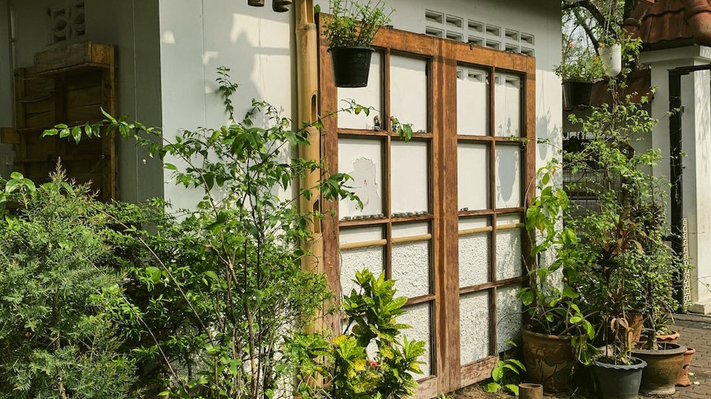 How to prevent pests from coming back