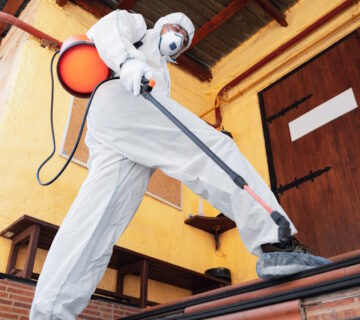How Do I Choose a Reputable Pest Control Company in My Area