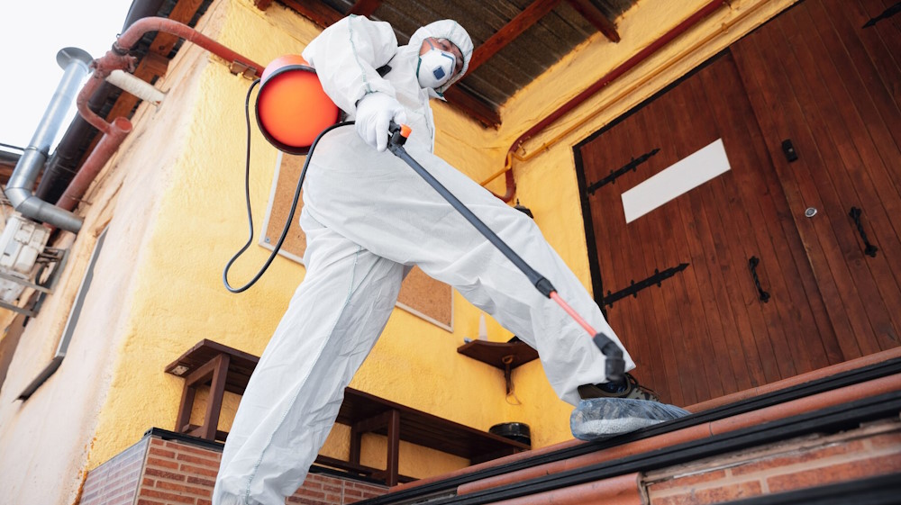 How Do I Choose a Reputable Pest Control Company in My Area