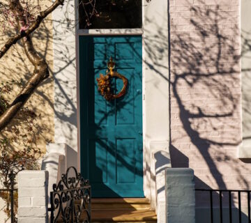 How to Pest-Proof Your Home Without Using Harsh Chemicals