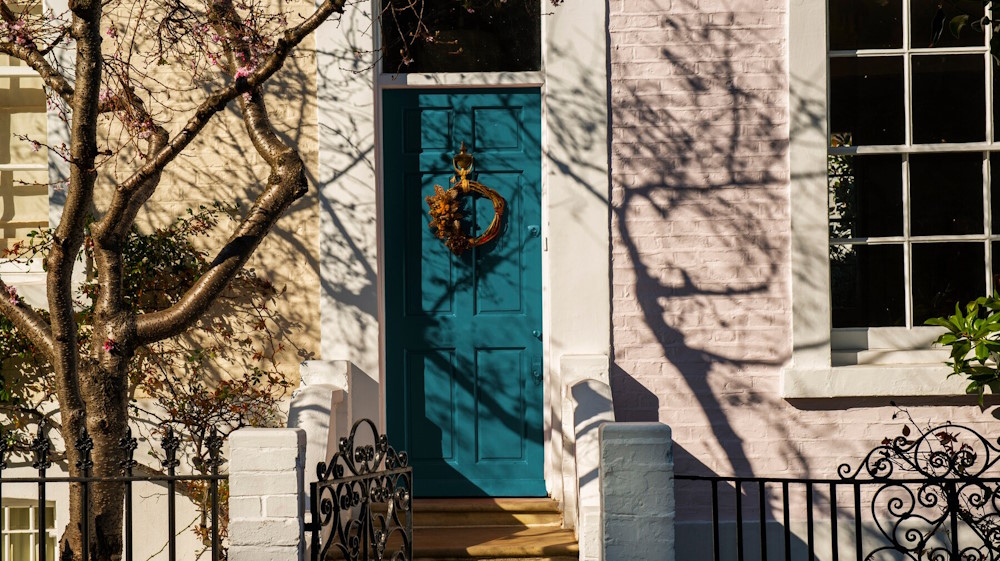 How to Pest-Proof Your Home Without Using Harsh Chemicals