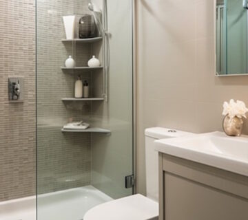 Why Do I Keep Finding Silverfish in My Bathroom?