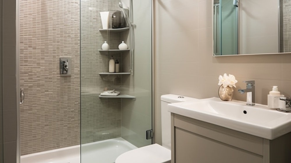 Why Do I Keep Finding Silverfish in My Bathroom?