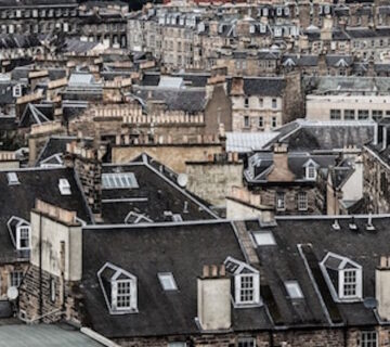 Should Landlords Pay for Pest Control in Rental Homes?