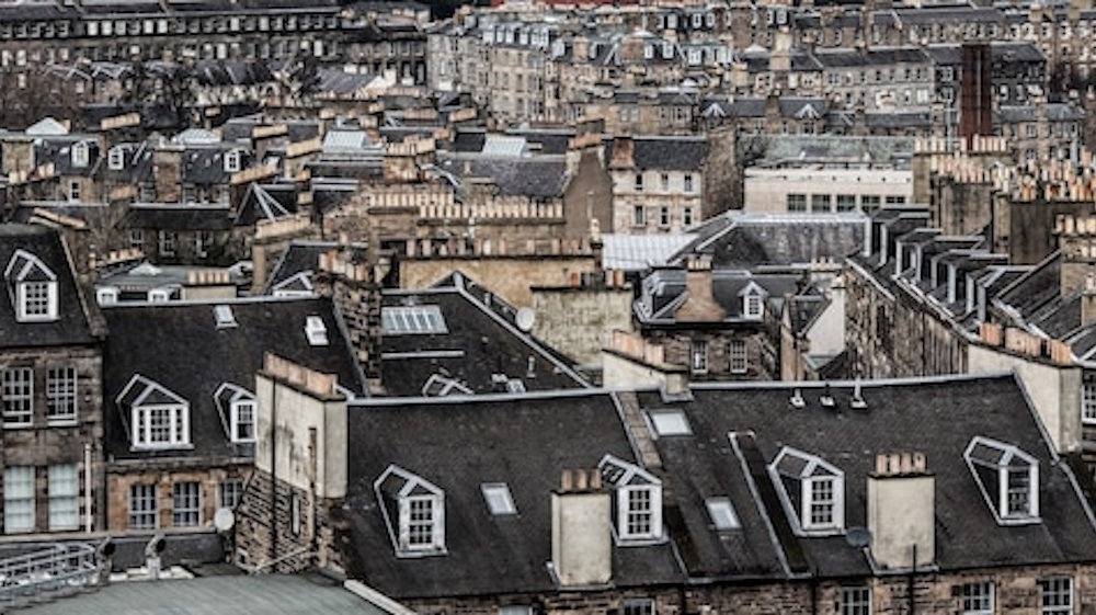 Should Landlords Pay for Pest Control in Rental Homes?