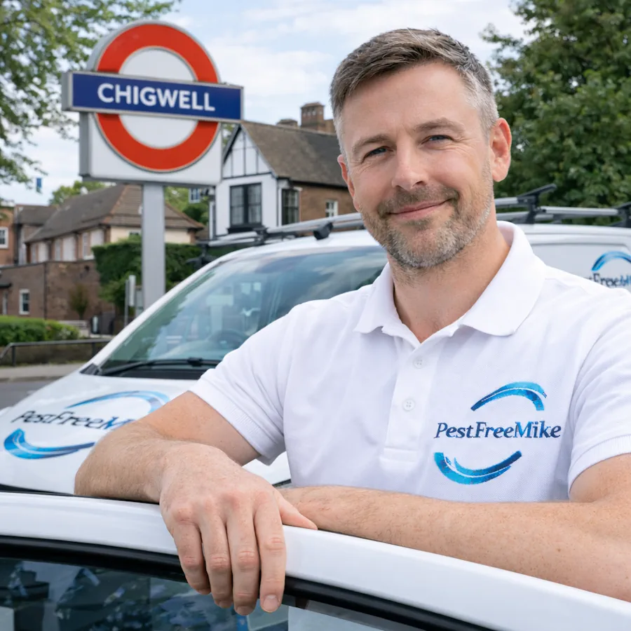 Pest Control Chigwell Pest Control Chigwell