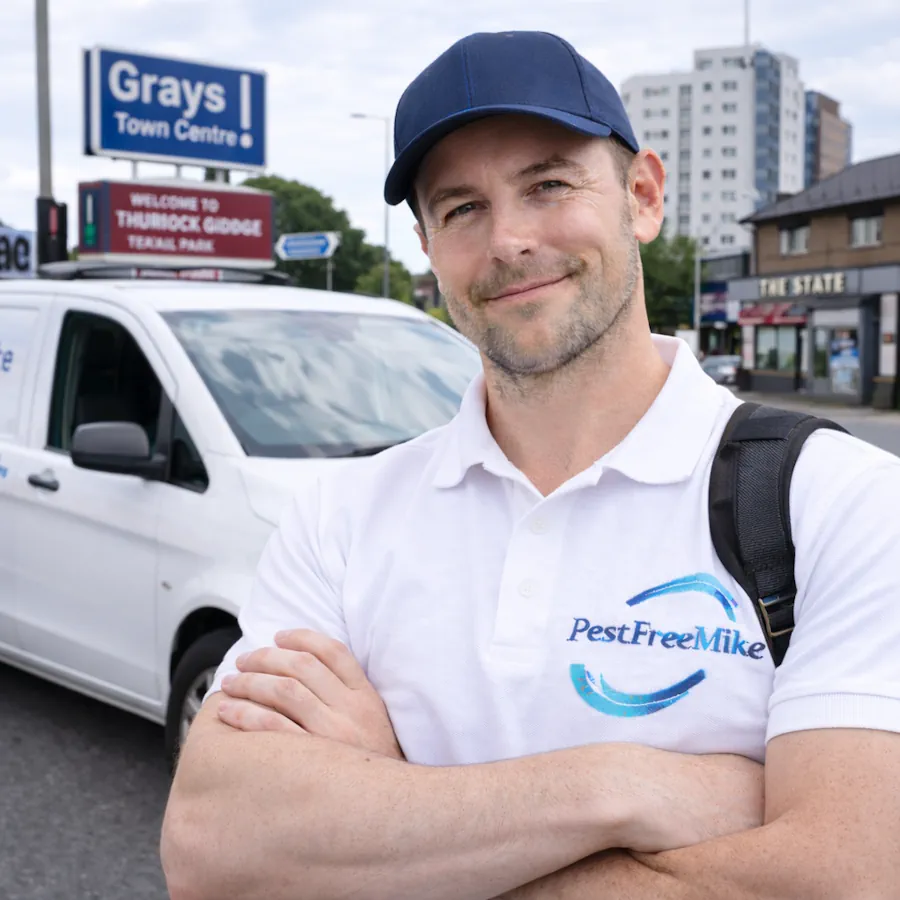 Pest Control Grays Pest Control Grays