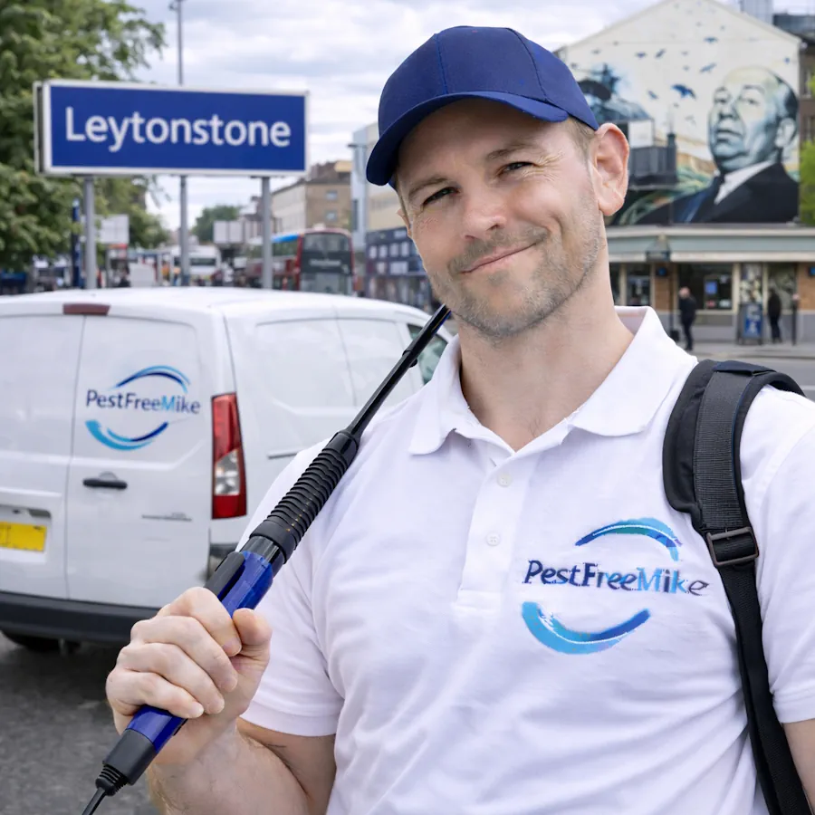 Pest Control Leytonstone Pest Control Leytonstone