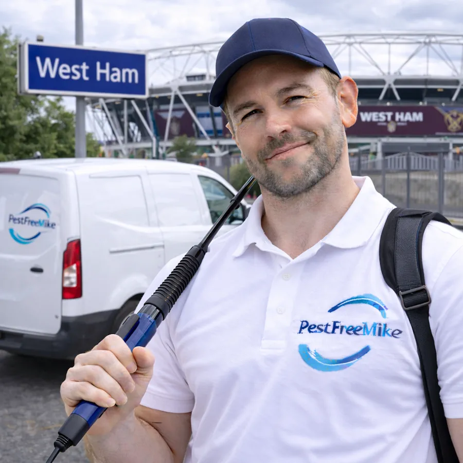 Pest Control West Ham Pest Control West Ham